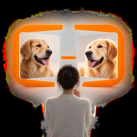 Models Comparison icon